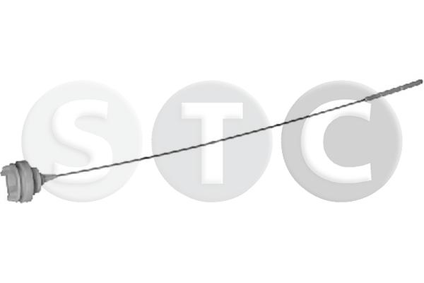 T404725