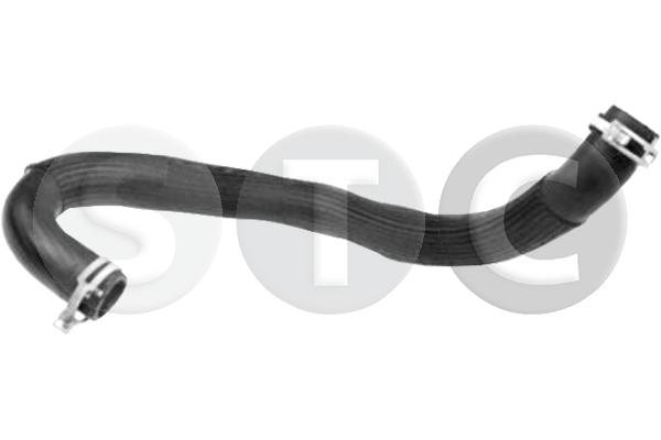T494557