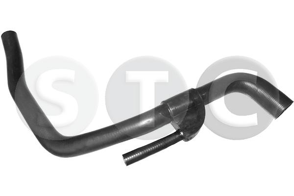 T494361
