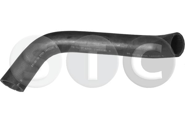 T405631