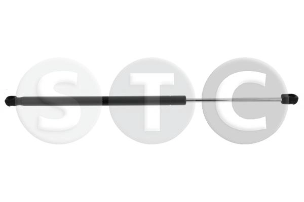 T446239
