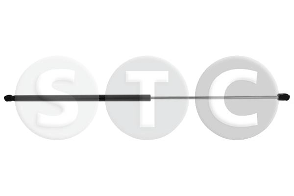 T446300