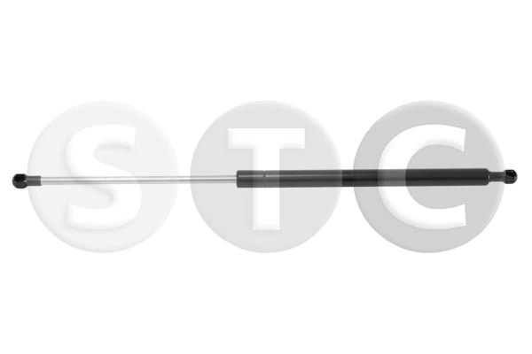 T446437