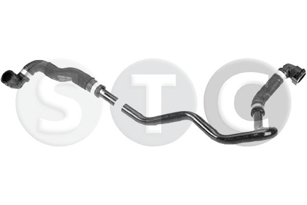 T494689