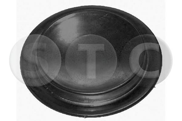 T404893