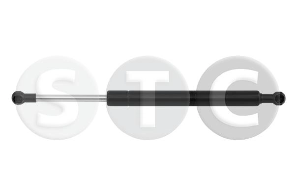 T446807