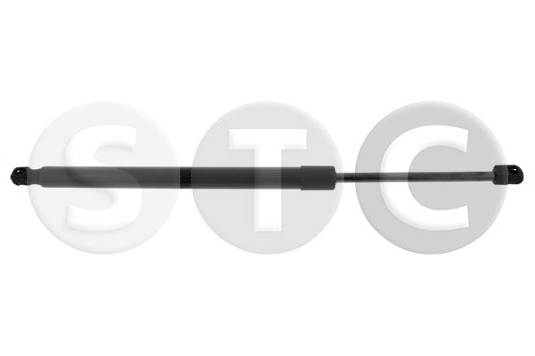 T446668