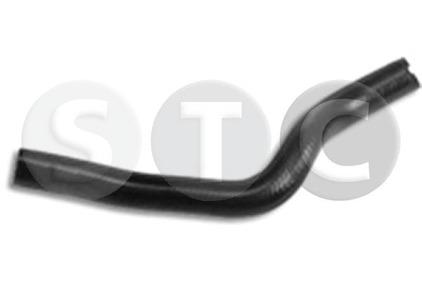T499667