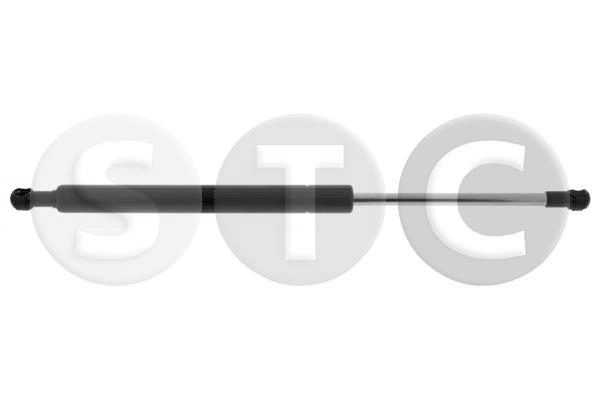 T446295