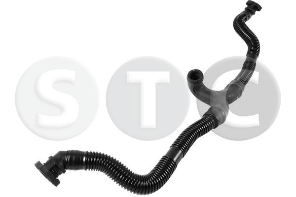 T435818