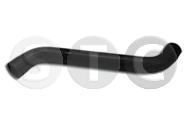 T494131