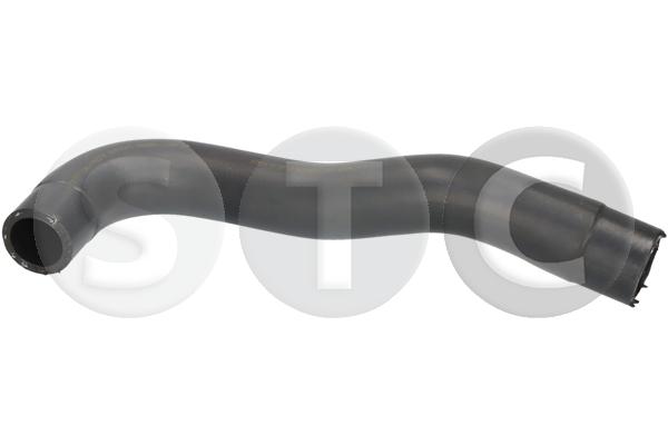 T494925