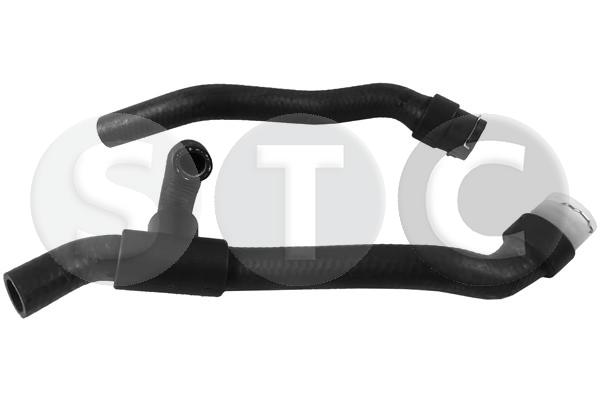 T409556