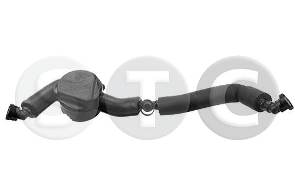 T435038