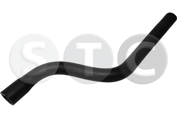 T498256