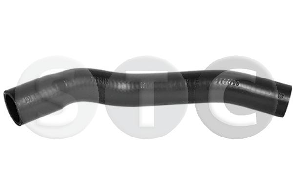 T497019