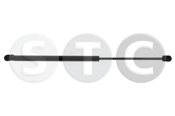 T446305