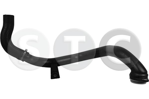 T497081