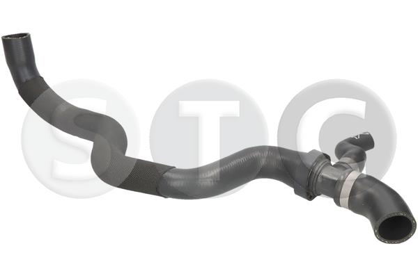 T494896