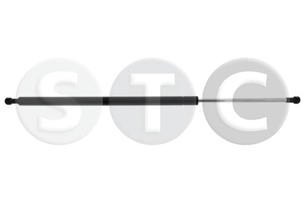 T446507