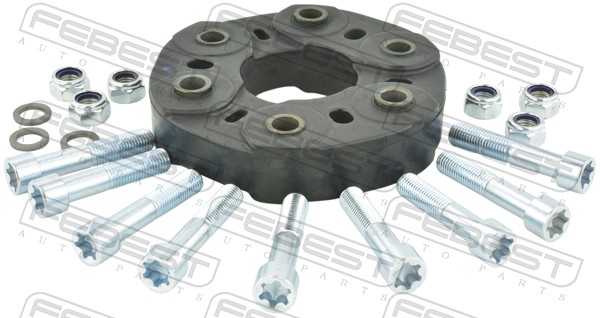 BZDS-001