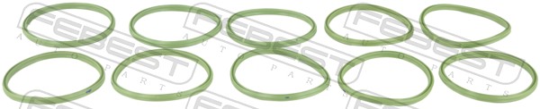 RINGAH-001-PCS10