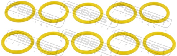 RINGAH-022-PCS10