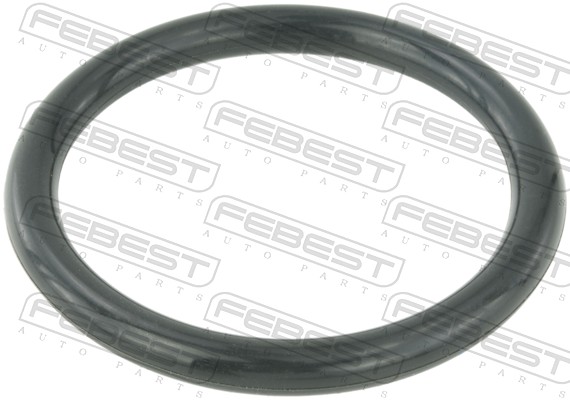 RINGAH-009