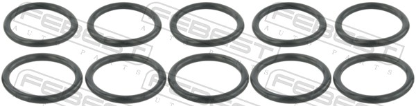 RINGWH-020-PCS10