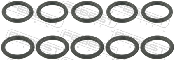 RINGWH-007-PCS10