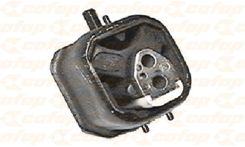 CXC01110