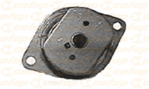 CXC03101