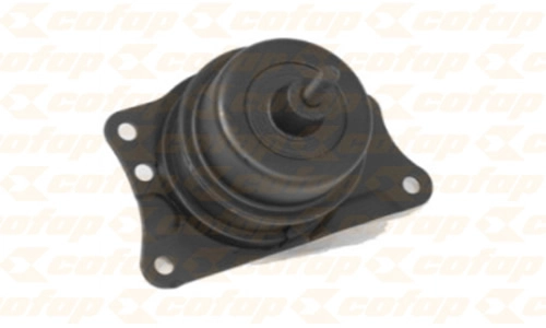 CXC01130