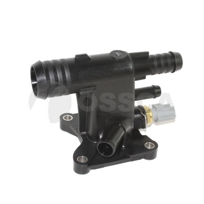 CJ5Z8K556A
