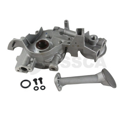 29202