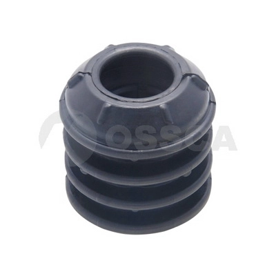 25058