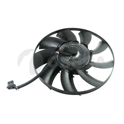 79031