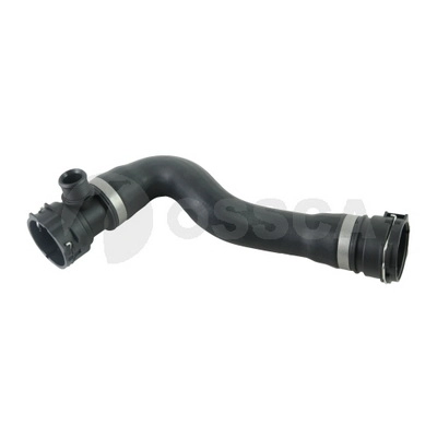 23884