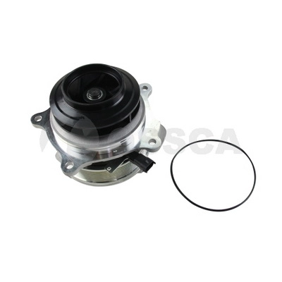 56119
