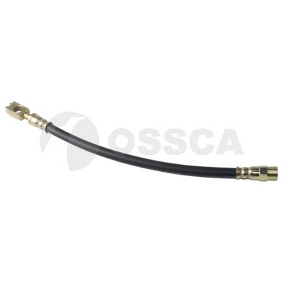 20667