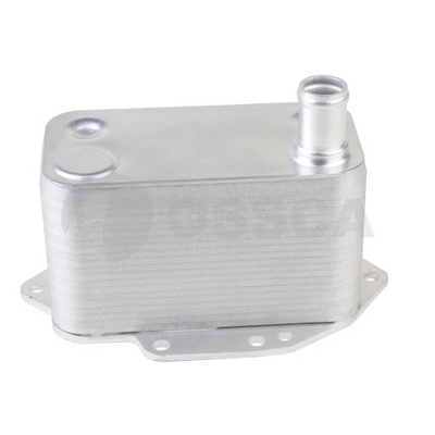 23854