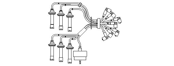 243