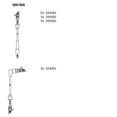 300/309
