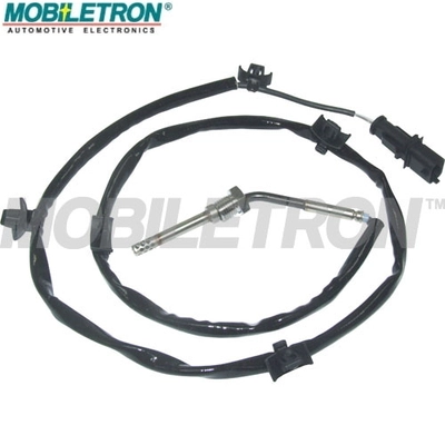 EG-EU195