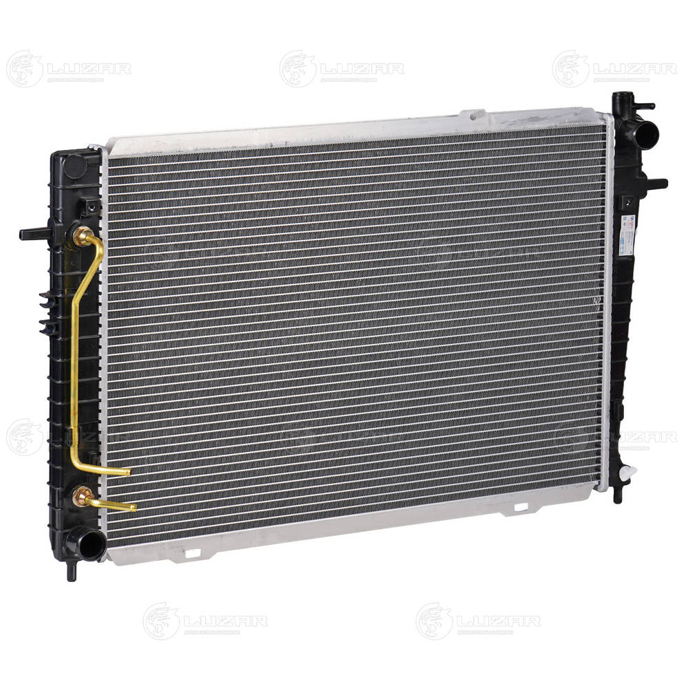 LRc KISt04350