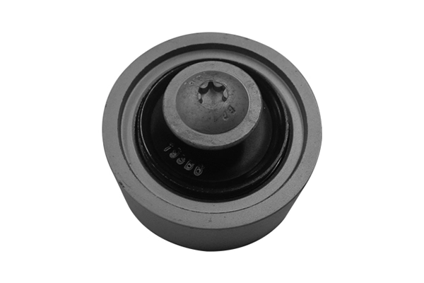 VKM 4754