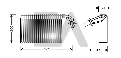 43B50006