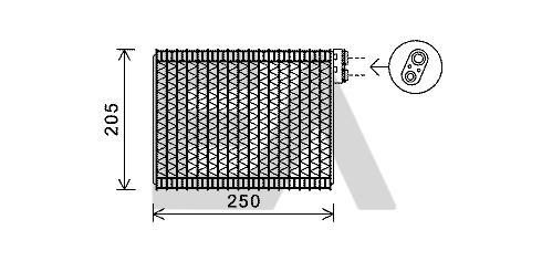 43B55008