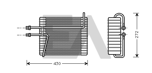 8FV351210061