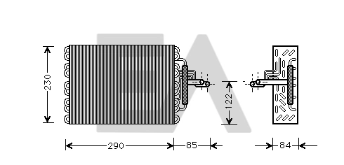 43B10002